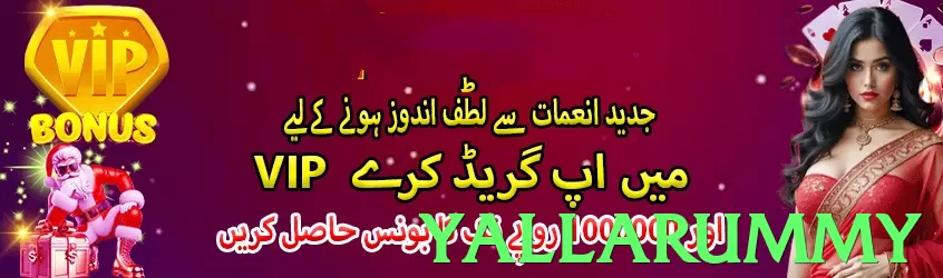 yallarummy Pakistan - 3